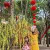 shopngoc_nhi