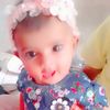 Hanif 320