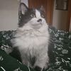 queenmabs924