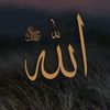 user28512290854962