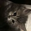 ashdreslife4