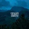 troy_1.5