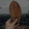 fuyun.29