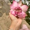 tasmiya_taher_orthe6