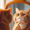 Meow meow