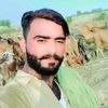 baloch66866
