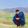 ramineshaghzi