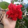 user928610846