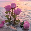 user9598520118253
