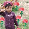 khan.badshahsharf