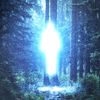 star_gazer_0076