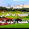 user8871880024590