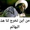 user16186744952062