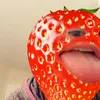lottie20456