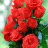 noor.almulla5