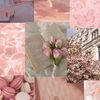 pinkgirlobsessions