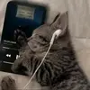 leo_0_7w7