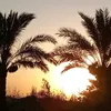 mariamabaas692