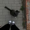 just._.israa19
