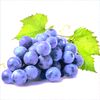 grape_the_grape986