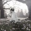 flowerbed6