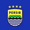 ndess12_127