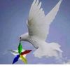 suher9596