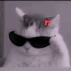 pie_catjr