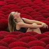 lifeofmaelle7