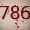kashif44997