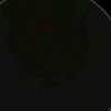 s4369990