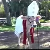 holly_cow_mat_day_nhat