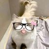 zulfan_63