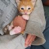 hailey_4570