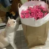 mheu_2502