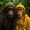 Rastamonkey