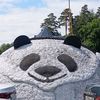 panda_pandera