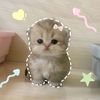 .sweeti3.nesa