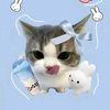 just_kidding1311