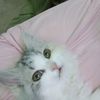 sandy.mostafa0541