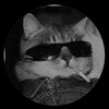 gladys_smith0