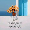 mame.ali.ali