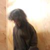 shady_wai