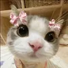 ana_satoru55