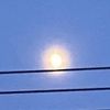 avalyn_1599