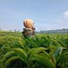 yati.rosmiati3