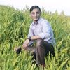 mdmaijuddin8