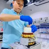 ng.quc.vn56