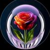 deeqo.cabdi831