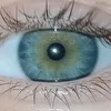white.is.blue